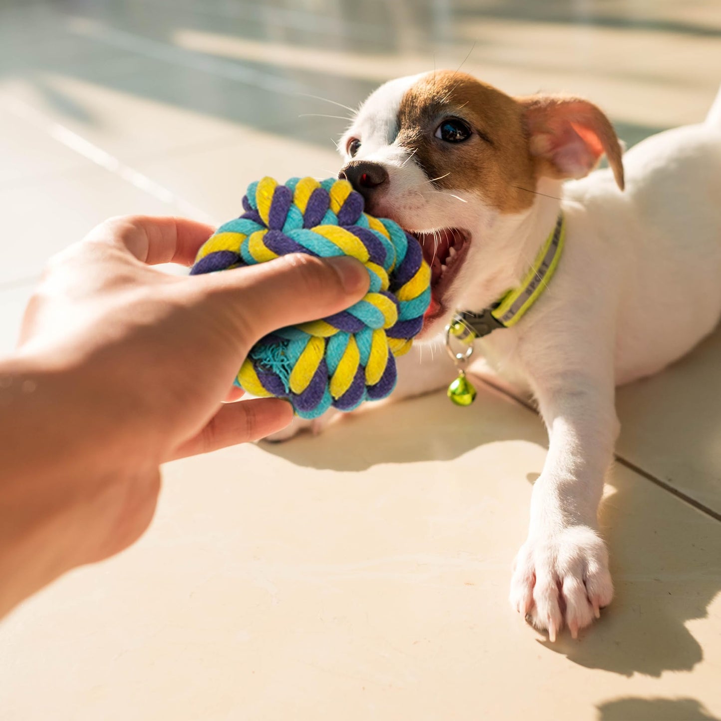 10-Piece Dog Toy Set-Pet Supplies-Fur & Bone-DREIBACH