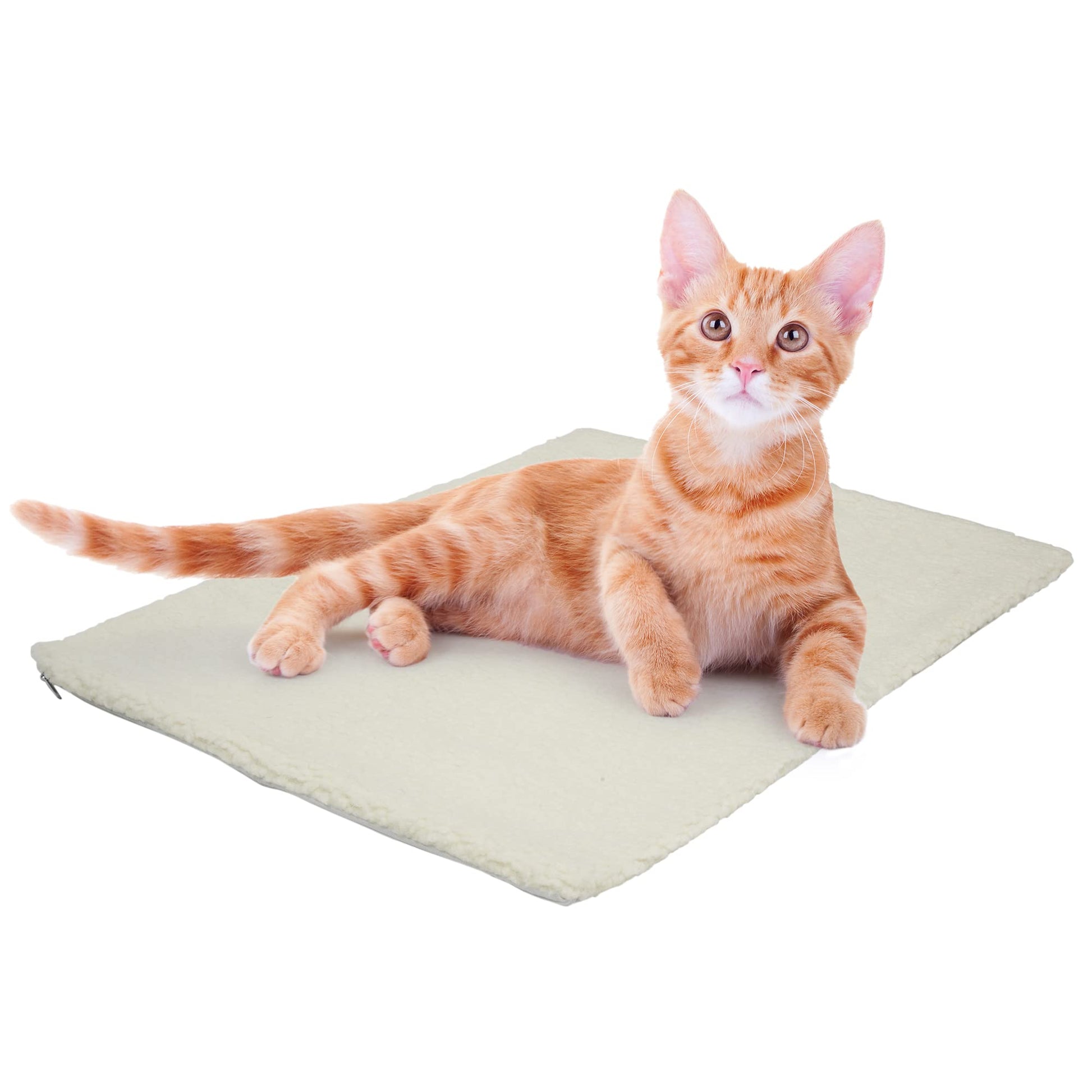 Self Heating Pet Mat-Pet Supplies-Fur & Bone-DREIBACH