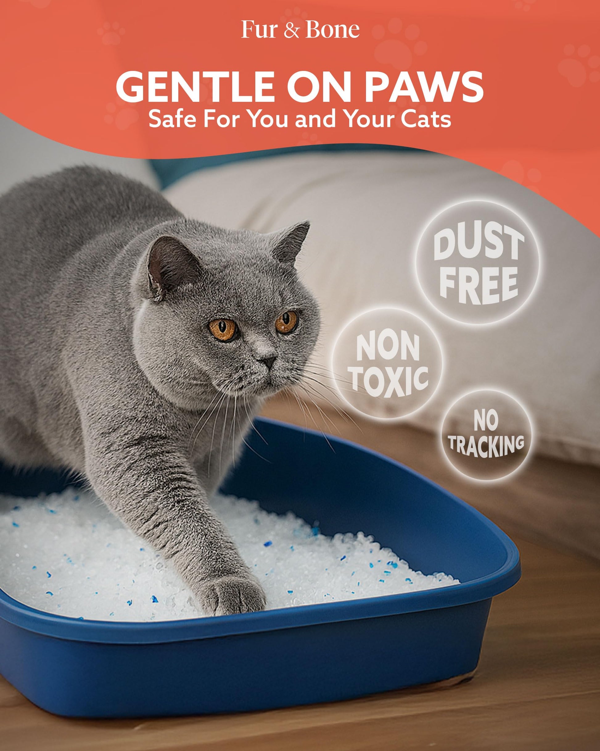 Ultra-Absorbent Silica Cat Litter-Pet Supplies-Fur & Bone-3.8L-DREIBACH